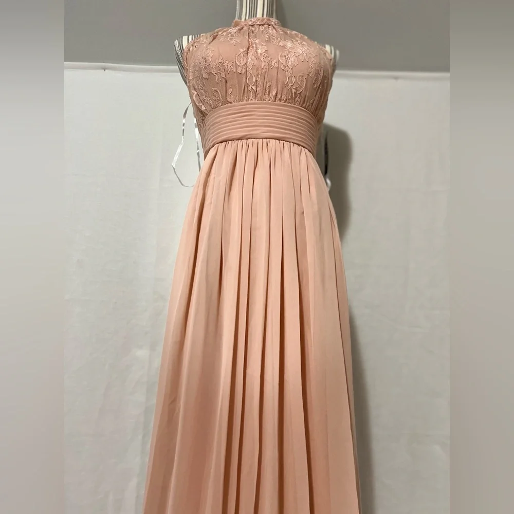 Sonsiya Blush Pink Lace Chiffon Maxi Dress Size 12 Formal Gown NWT - Picture 4 of 12